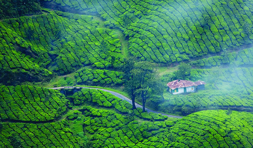 munnar